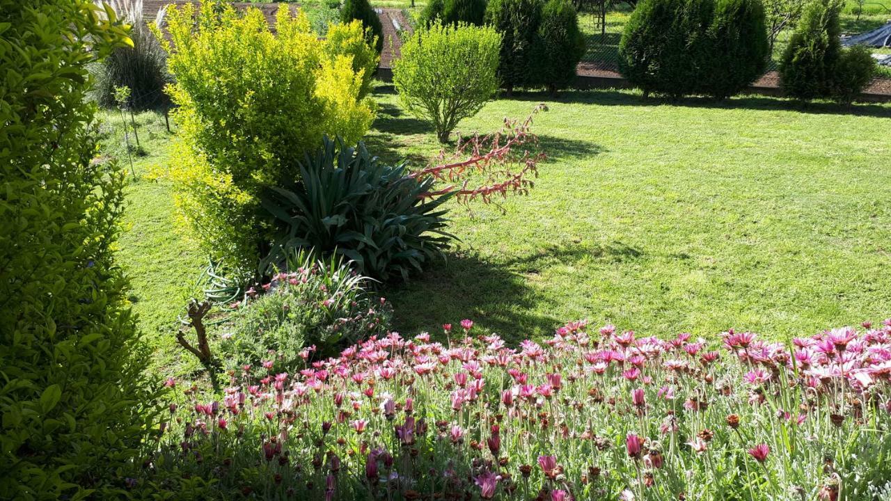 Quinta de Reiriz Moncao Exterior foto