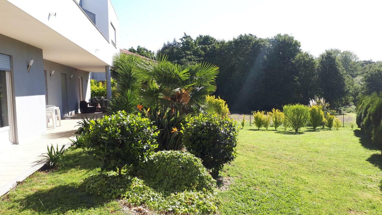 Quinta de Reiriz Moncao Exterior foto